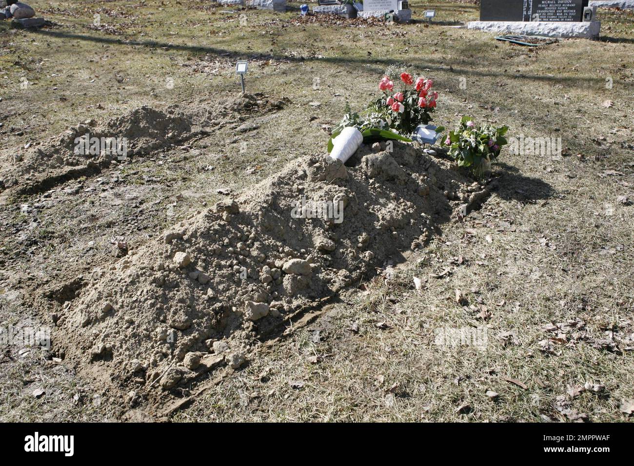 Pardes shalom cemetery hires stock photography and images Alamy