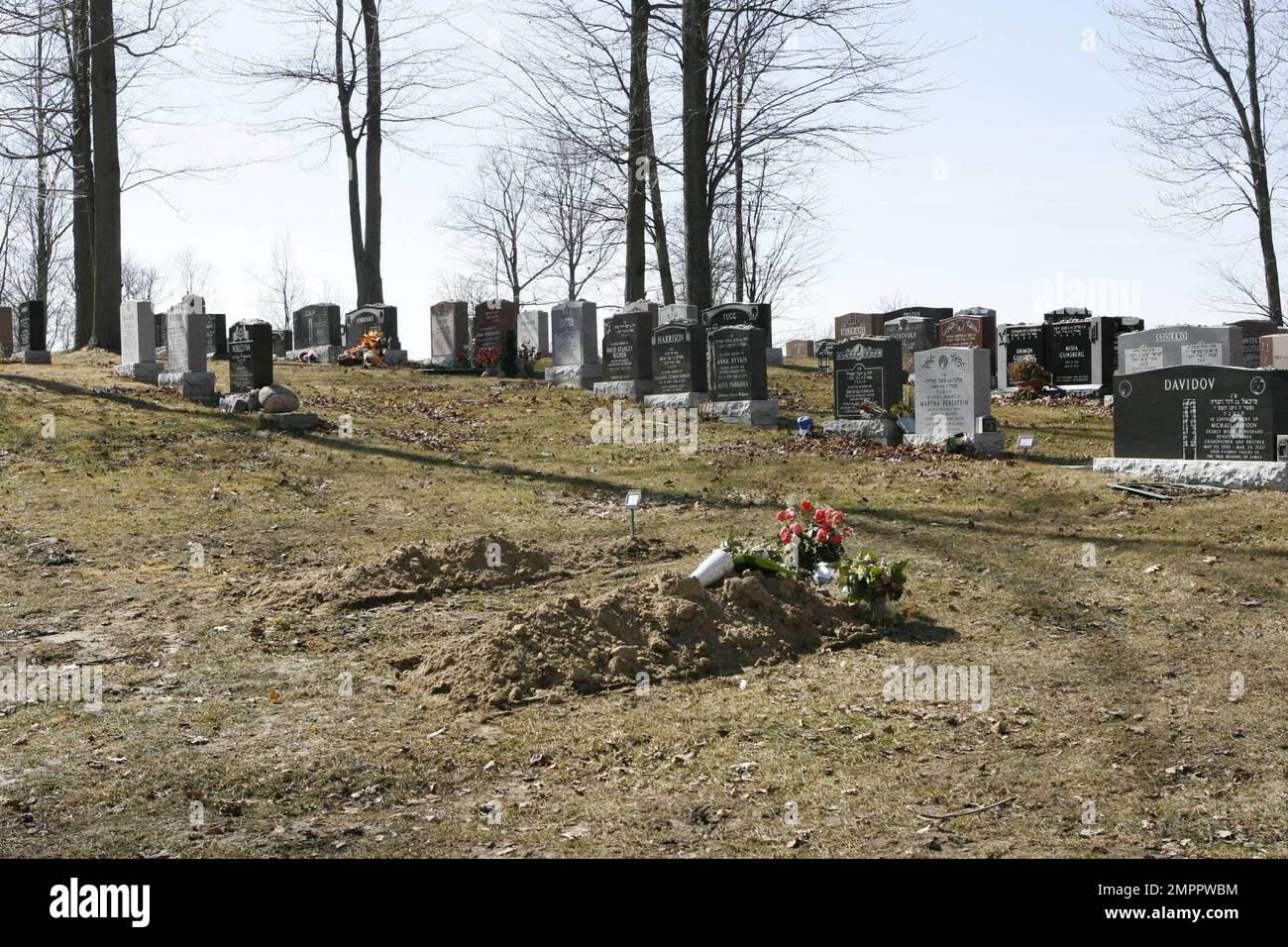 EXCLUSIVE!! Corey Haim's gravesite at Pardes Shalom Cemetery, adorned