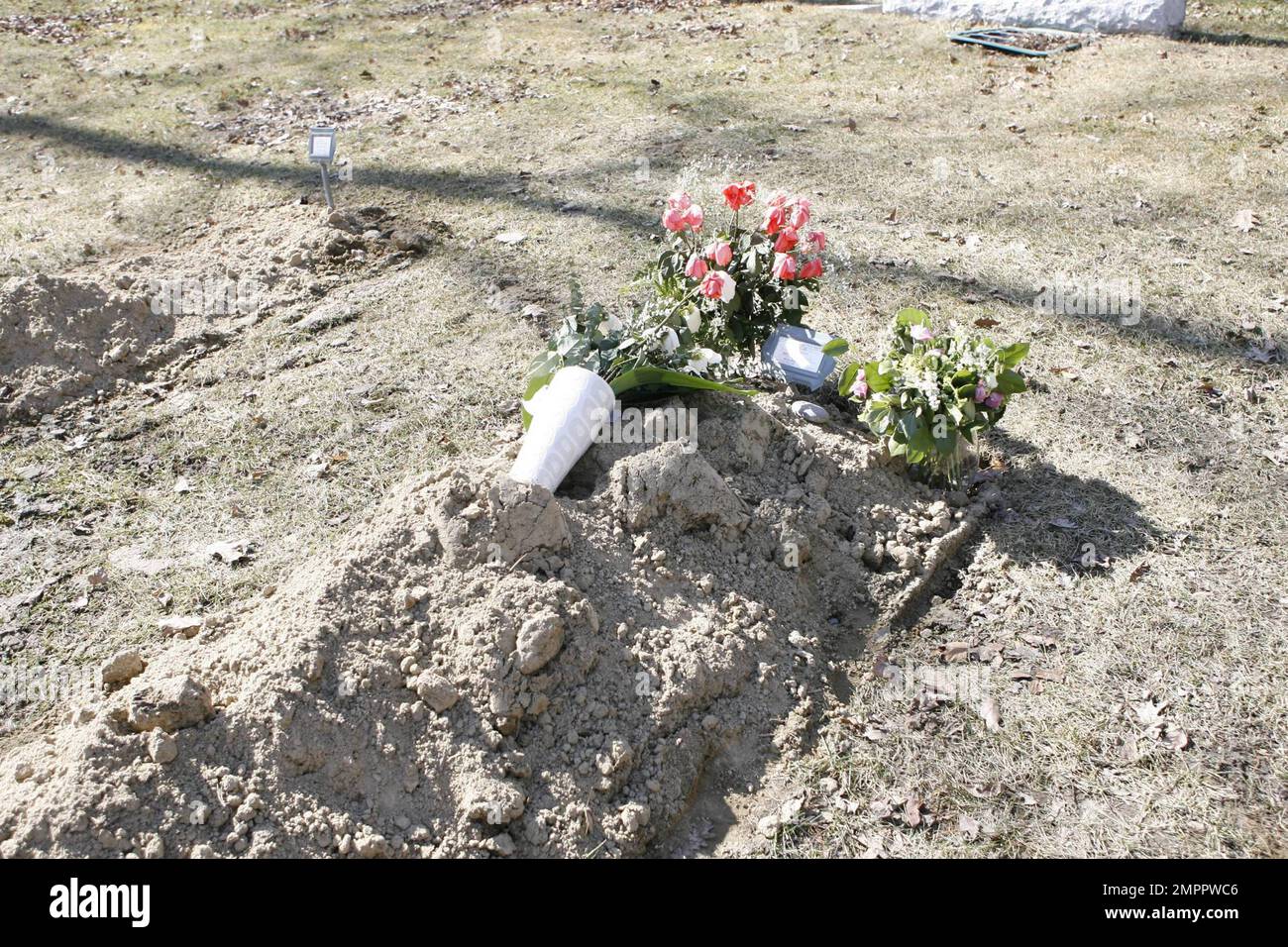 Pardes shalom cemetery hires stock photography and images Alamy