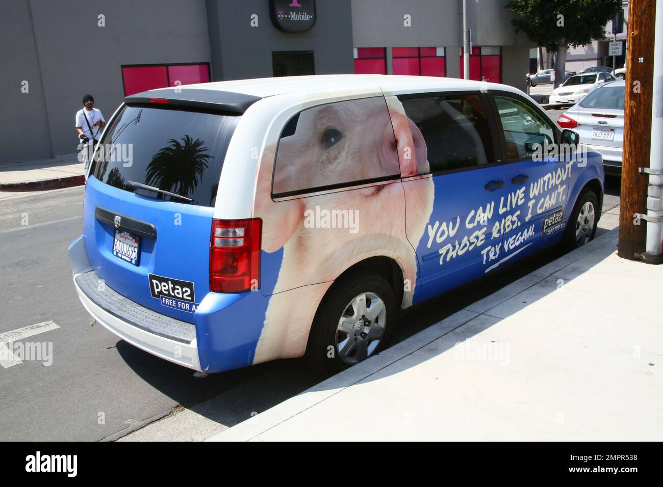 Courtney Stodden dressed as a vulnerable little mouse visited a