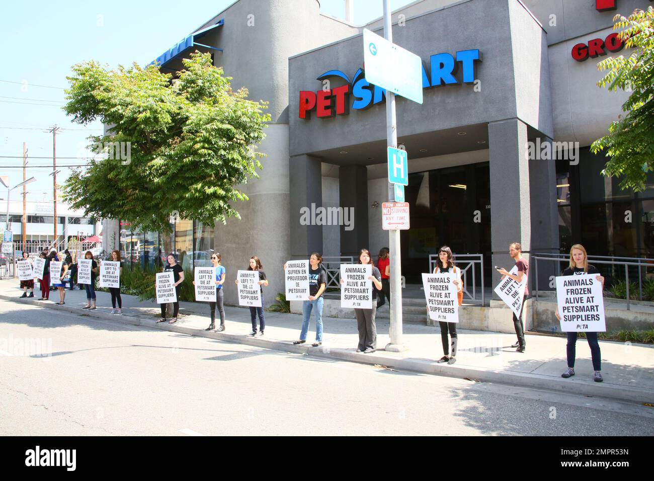 Courtney Stodden dressed as a vulnerable little mouse visited a