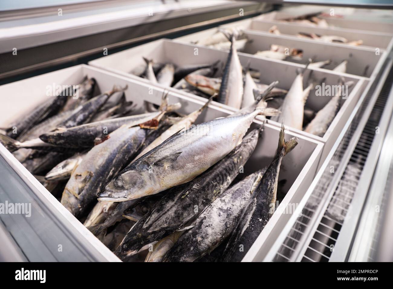 Different types of frozen fish in supermarket Stock Photo Alamy