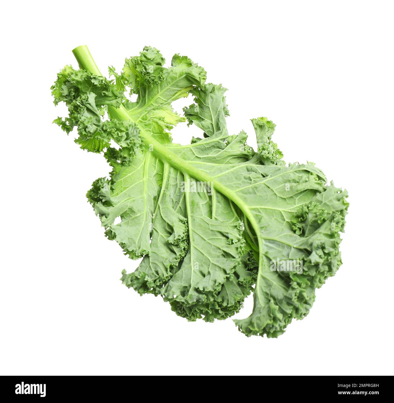Fresh green kale leaf isolated on white Stock Photo Alamy