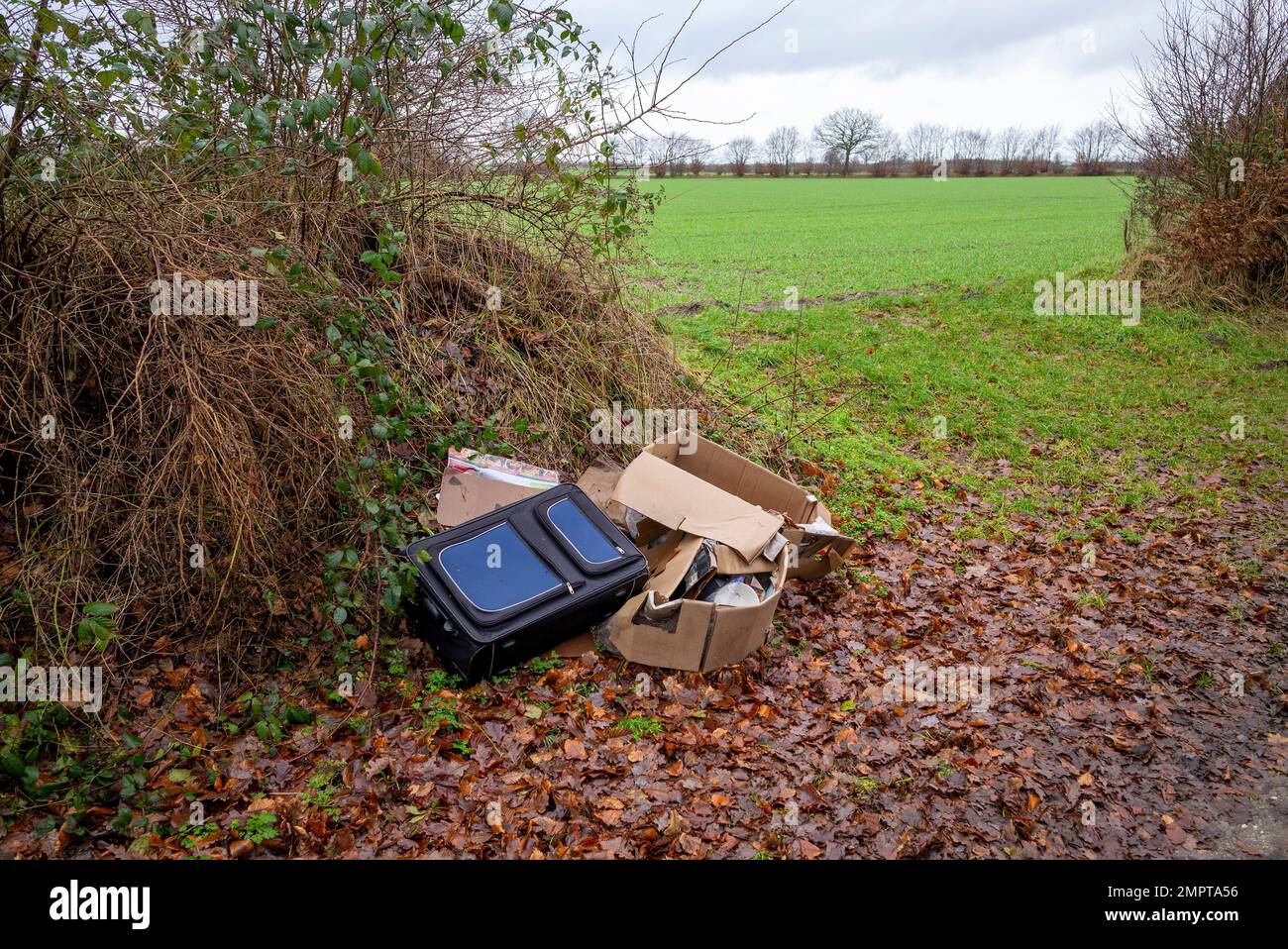 Illegale Müllentsorgung in der Natur Stock Photo