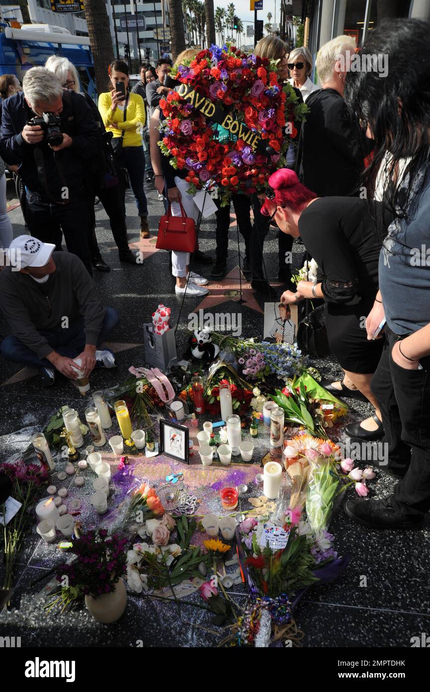General views of wreaths and tributes to the late David Bowie on his ...
