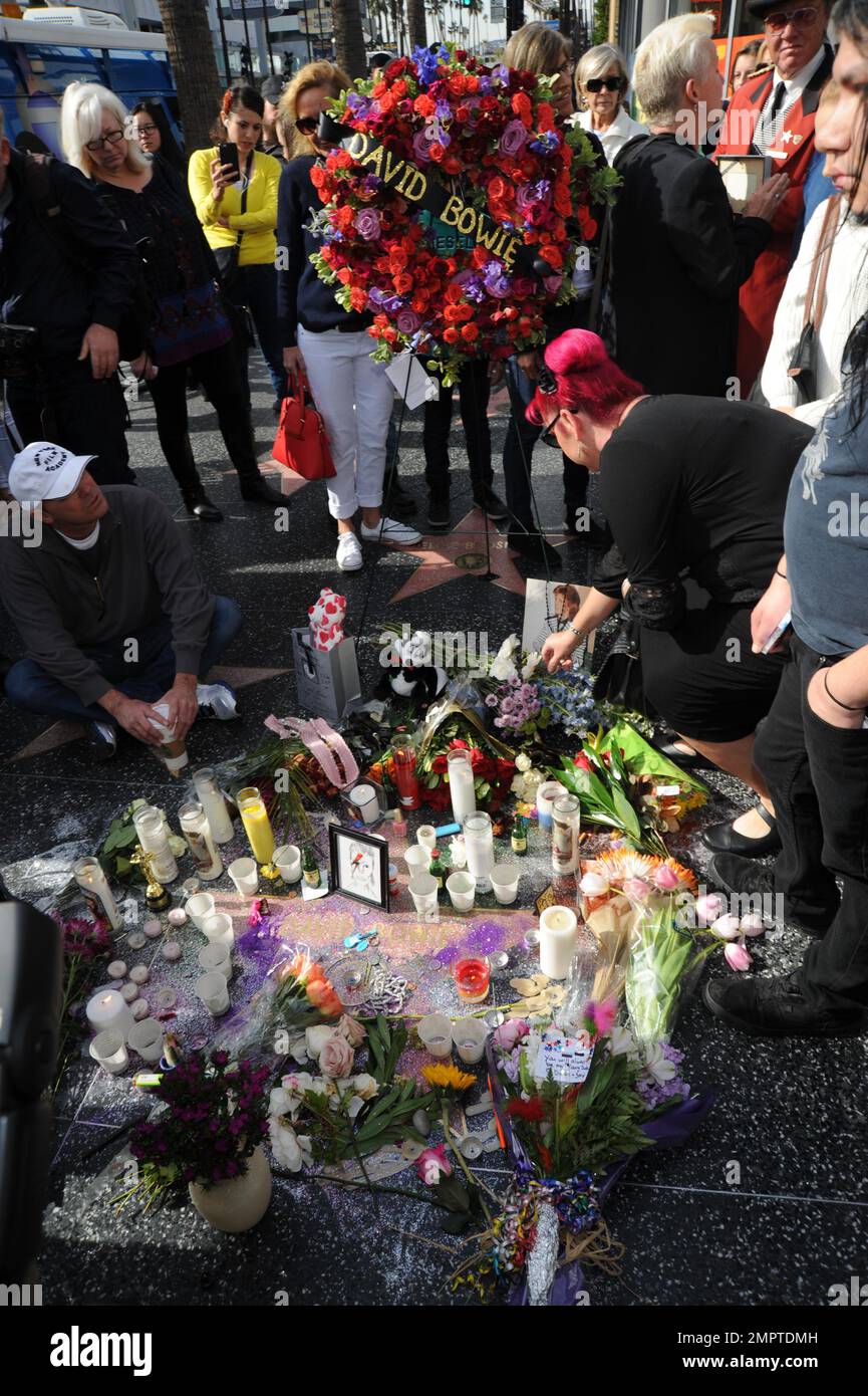 General views of wreaths and tributes to the late David Bowie on his ...