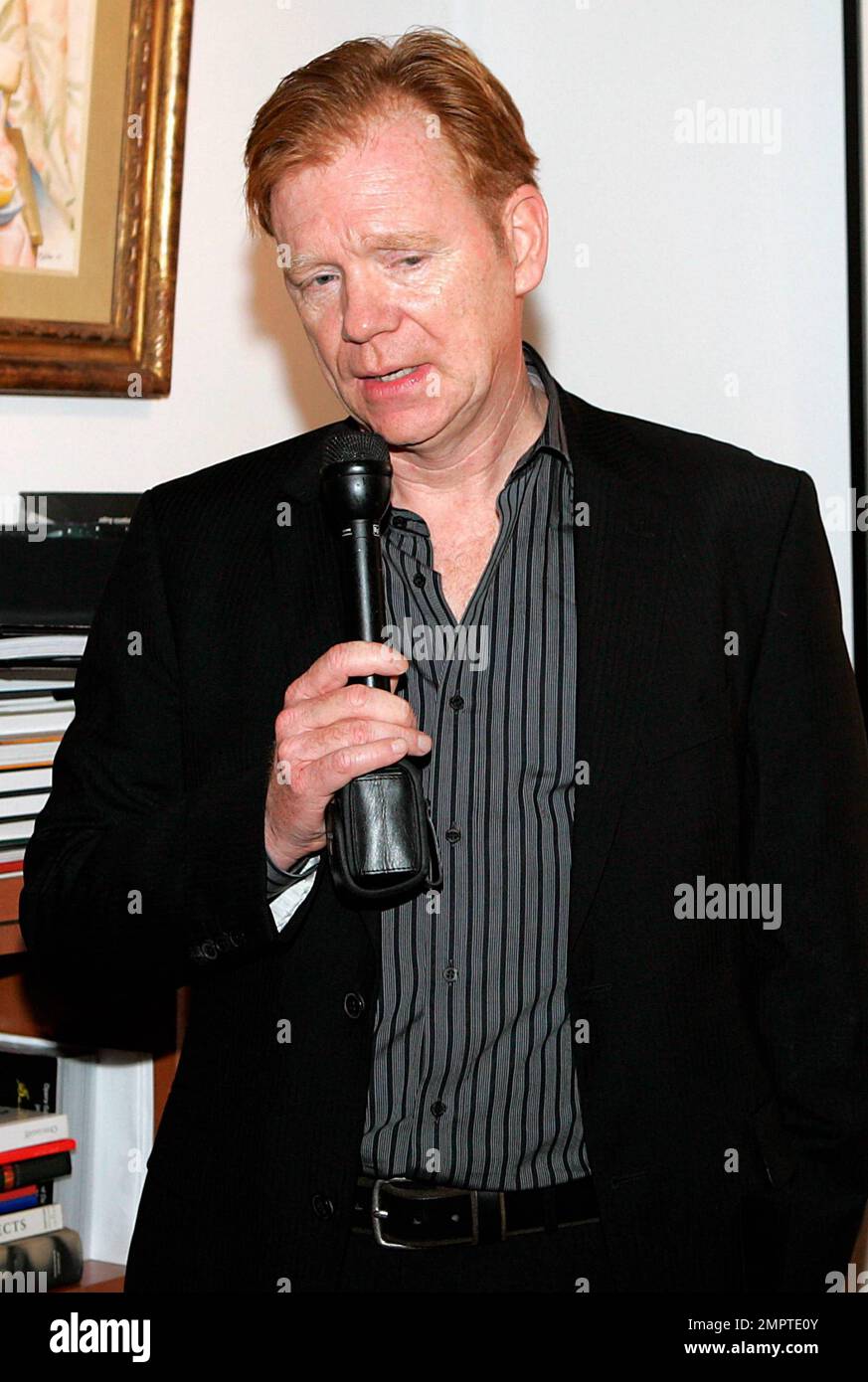 EXCLUSIVE!! Actor David Caruso attends a cocktail reception and auction ...