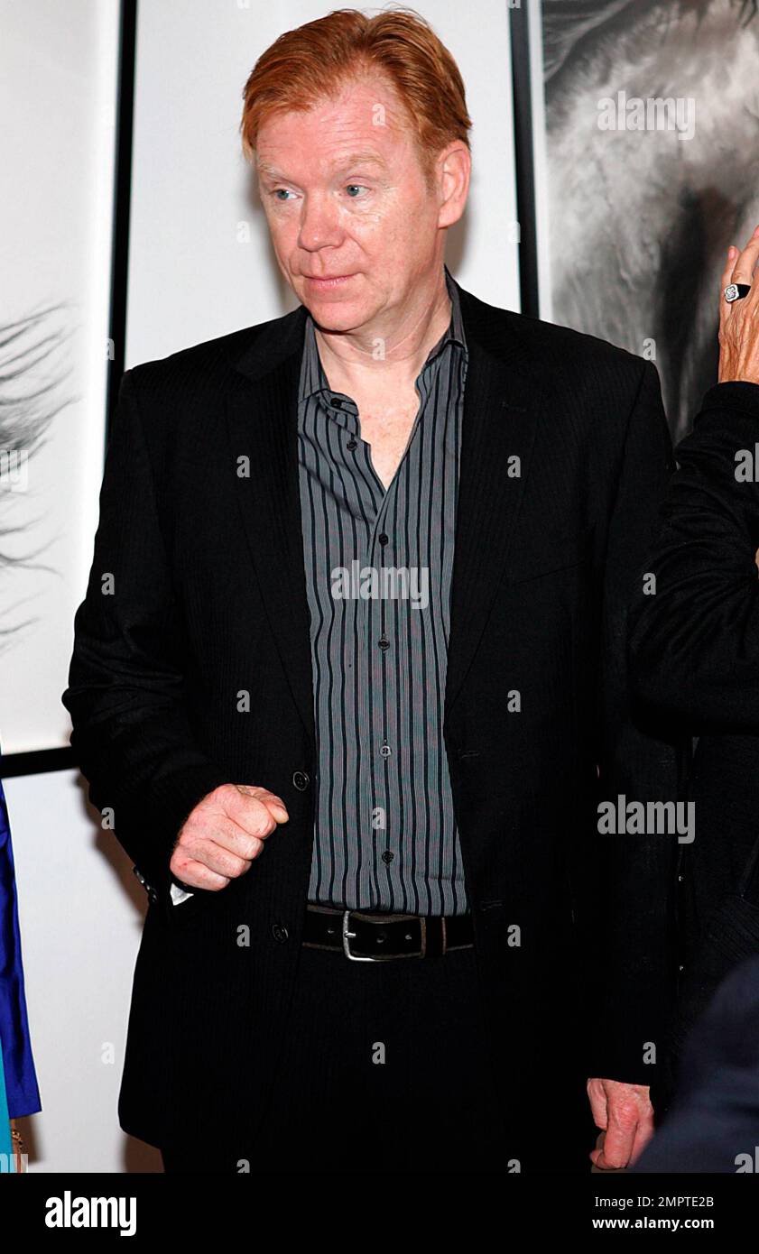 David caruso hi-res stock photography and images - Alamy