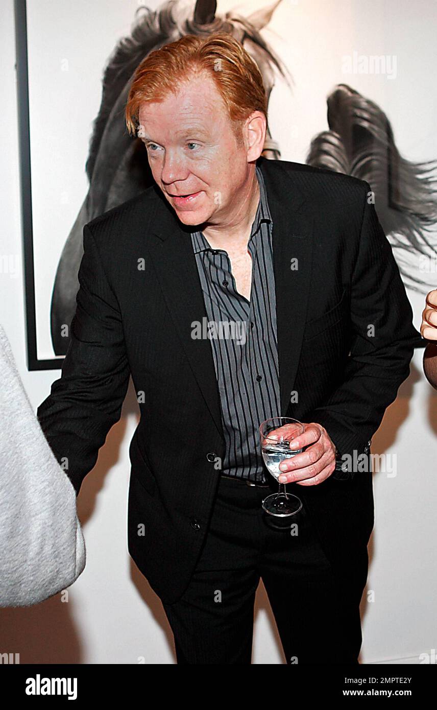 EXCLUSIVE!! Actor David Caruso attends a cocktail reception and auction ...