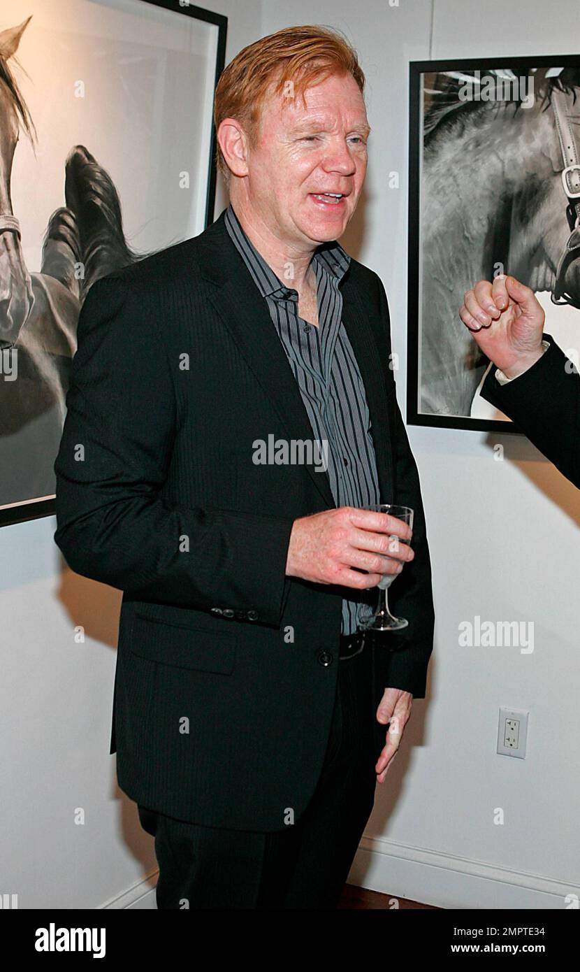 EXCLUSIVE!! Actor David Caruso attends a cocktail reception and auction