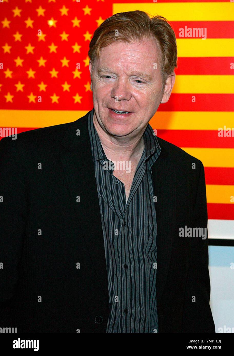 EXCLUSIVE!! Actor David Caruso attends a cocktail reception and auction ...