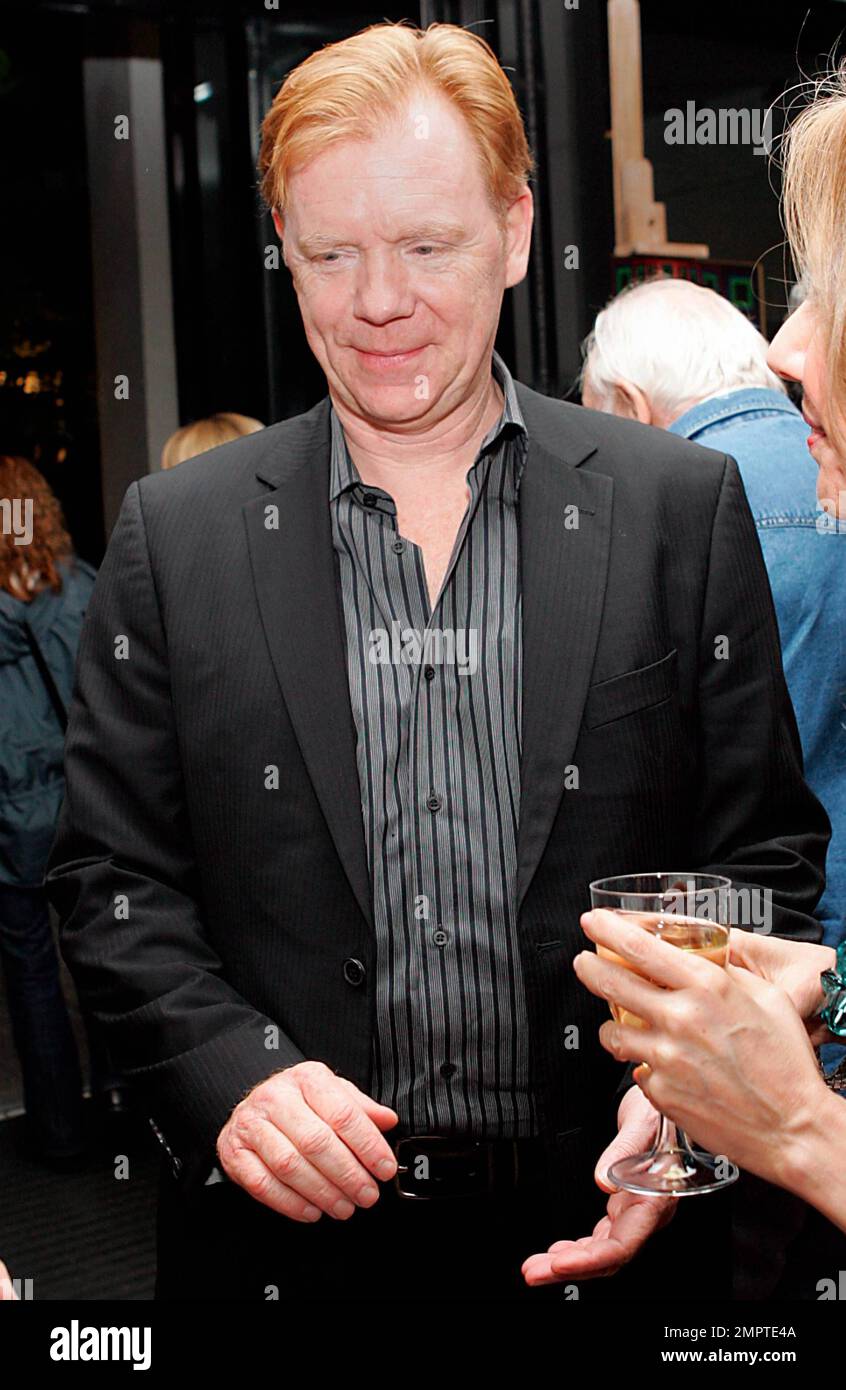 EXCLUSIVE!! Actor David Caruso attends a cocktail reception and auction ...