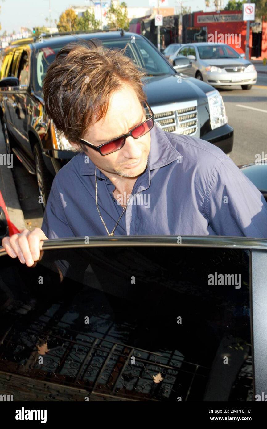 EXCLUSIVE!! "Californication" star David Duchovny gets picked up by his