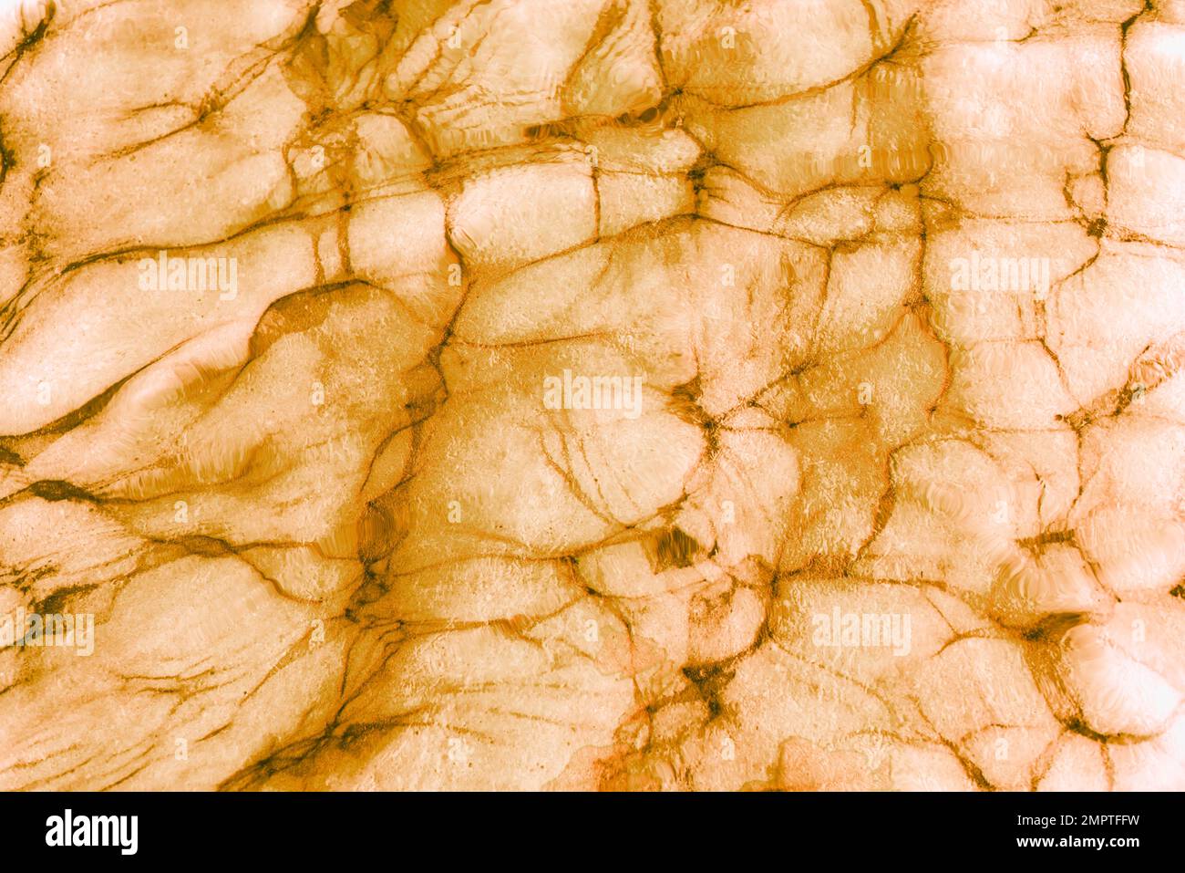 Abstract light surface with slits or wrinkles. Stock Photo