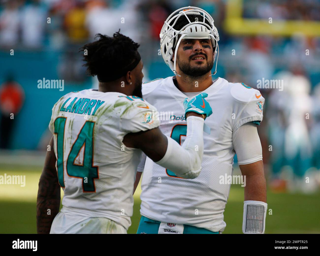 East Rutherford, New Jersey, USA. 29th Nov, 2015. Miami Dolphins wide  receiver Jarvis Landry (14) looks on prior to the NFL game between the Miami  Dolphins and the New York Jets at