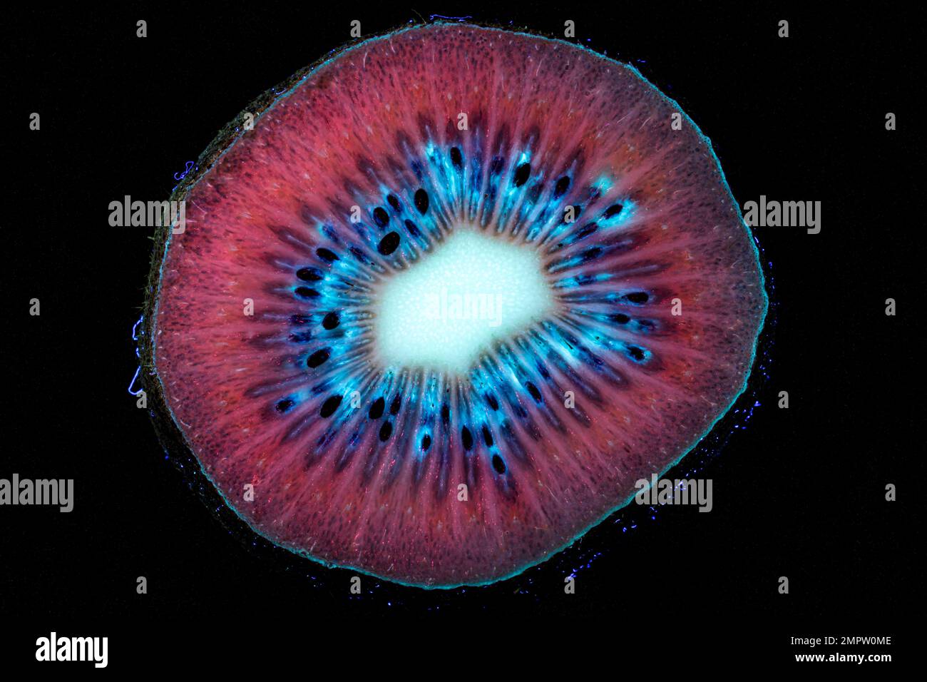 A cross section of Kiwifruit looks like something in outer space (a nebula or supernova) in this photo taken with ultraviolet light. Stock Photo