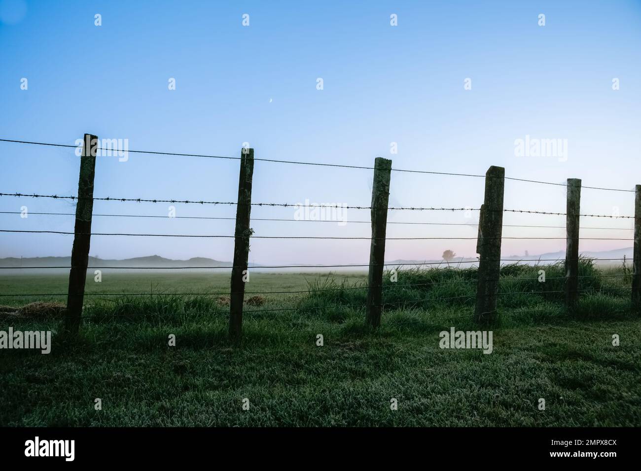 Blue hour New Zealand rural sunrise landscape through fence. Stock Photo