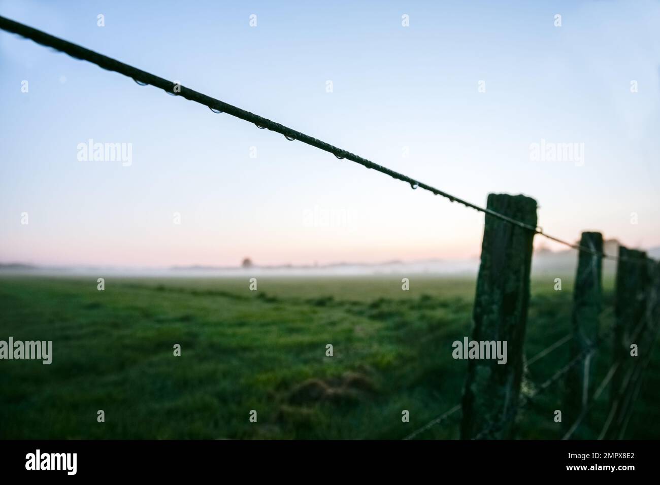 Blue hour New Zealand rural sunrise with defocused background and dew on fence wire in Wairarapa. Stock Photo