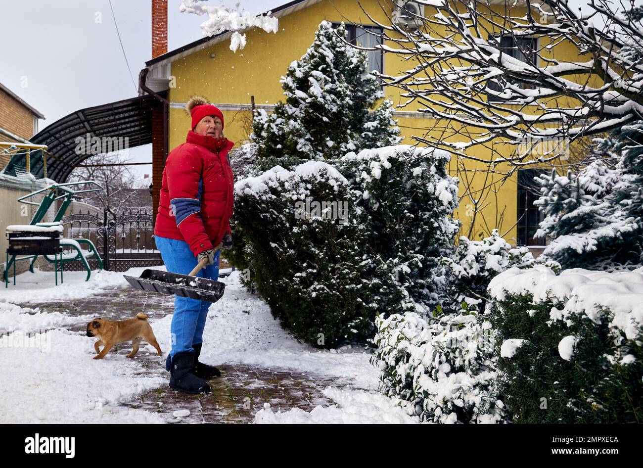Pretty mature woman in a red jacket shoveling snow in the yard of her house Stock Photo