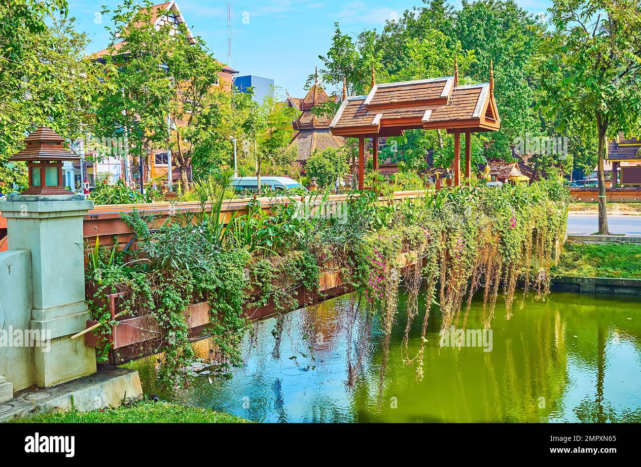 The flowering green park around the Old City Moat with a small footbidge with hanging orchids, Chiang Mai, Thailand Stock Photo