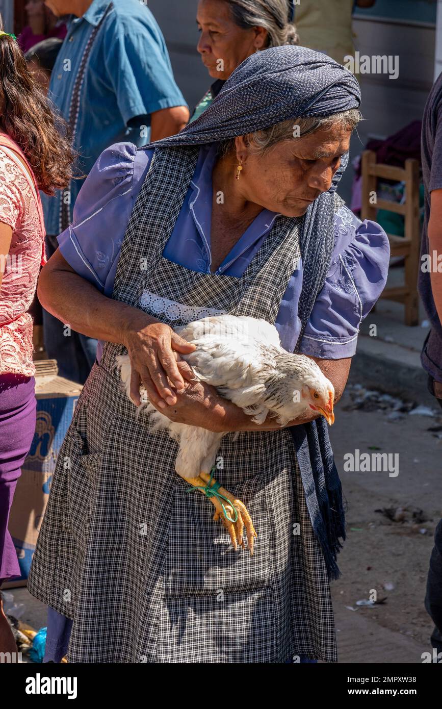 An indigenous Zapotec woman in traditional dress selling a chicken in the market in Ocotlan de