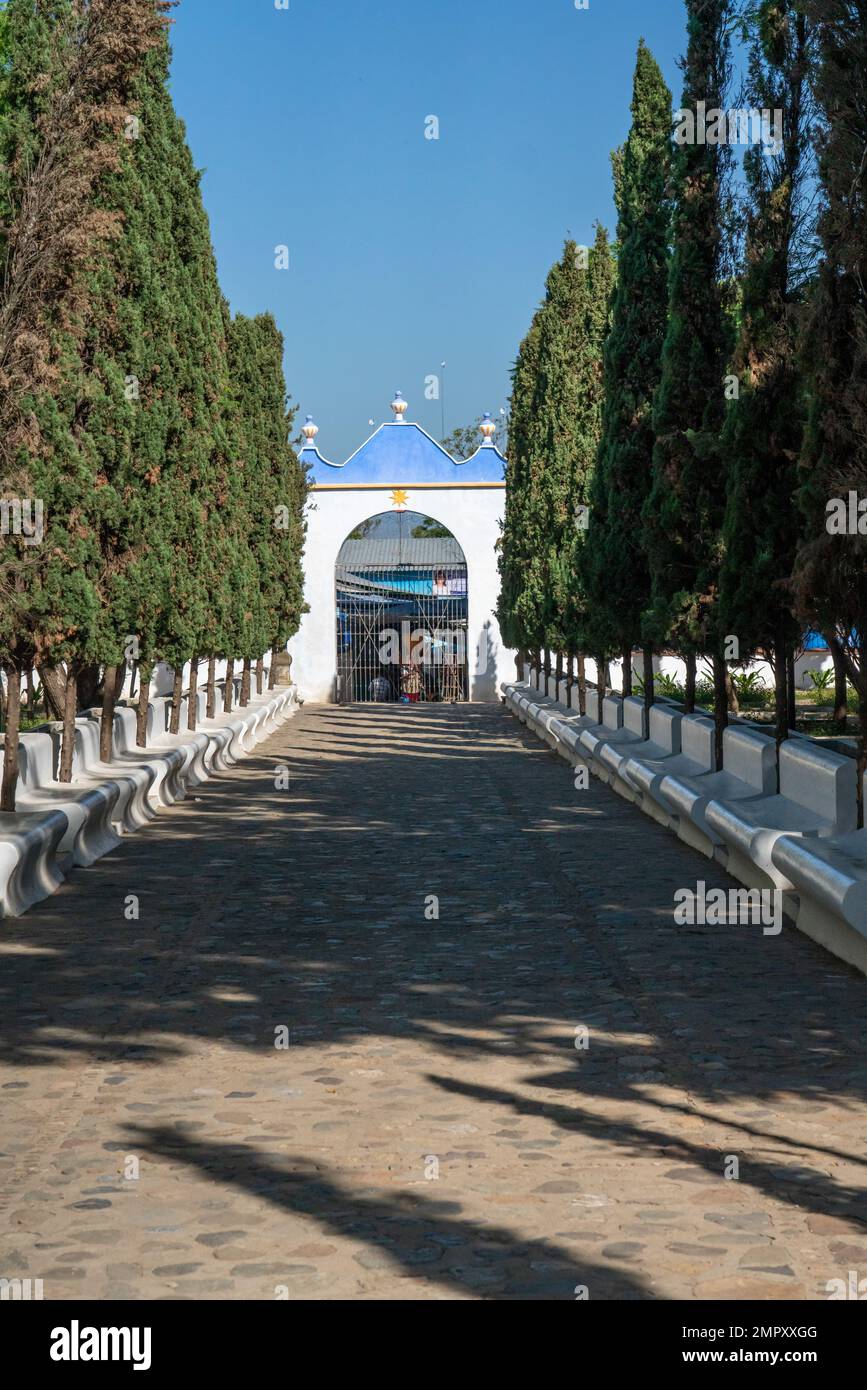 The tree-lined walkway from the gate to the Church of Santo Domingo de Guzman in Ocotlan de Morelos, Oaxaca, Mexico. Stock Photo
