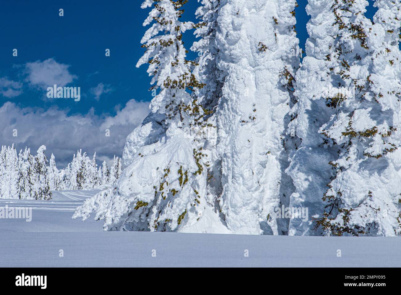 Heavy snowfall in montana hires stock photography and images Alamy