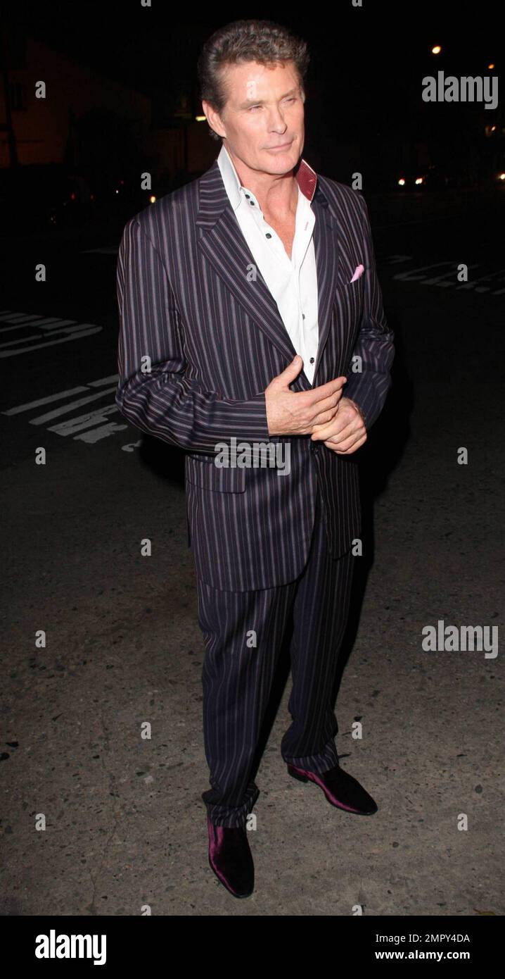 Clad in maroon suede shoes and a pinstriped suit David Hasselhoff ...