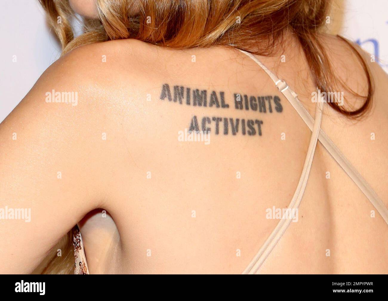 Mercy For Animals staff members show off their animal rights-inspired  tattoos! Do you have a vegan or farmed animal tattoo?, image size:1300x1008