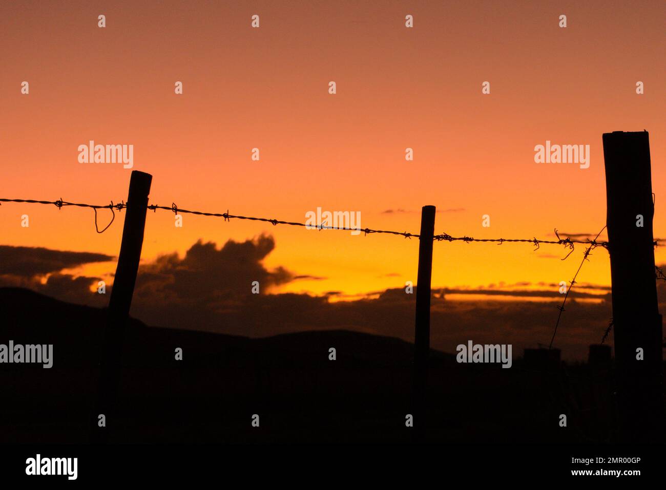 Silhouette of barbed wire fence with sunset background in South Africa ...