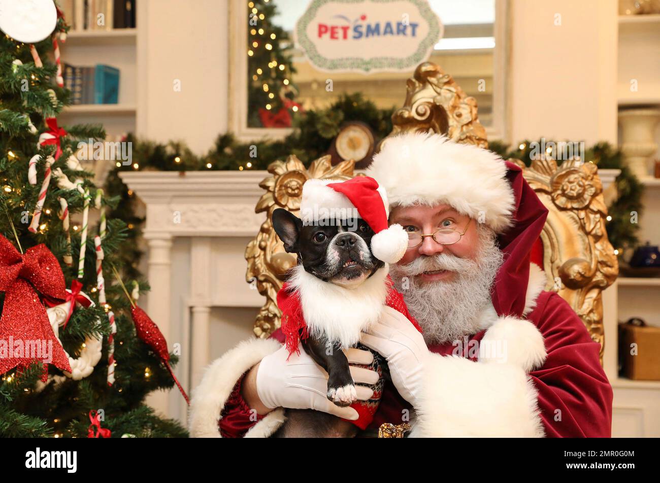 IMAGE DISTRIBUTED FOR PETSMART Instagram pet celebrity