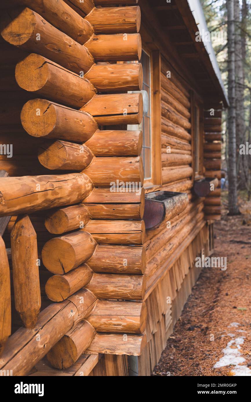 Exterior Side of Log Cabin in Woods in Pacific Northwest Stock Photo