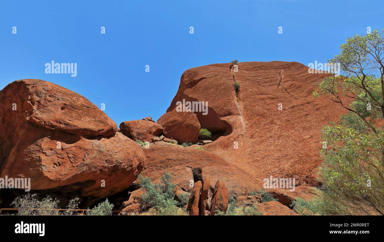 460 Long fissure and huge rift-rock boulders-desert bloodwood trees at the foot-steep slope of Uluru. NT-Australia. Stock Photo