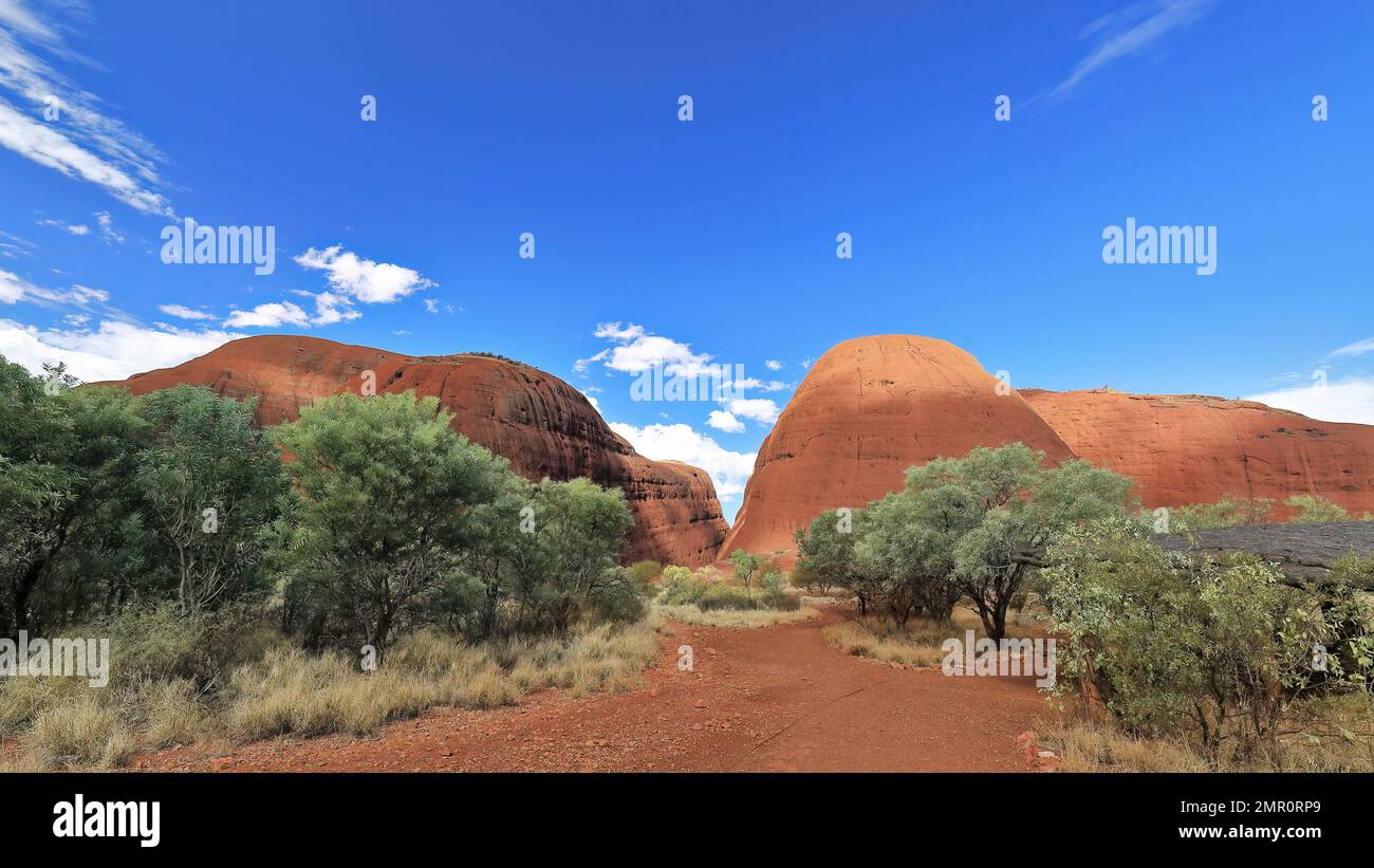 463 Footpath of red sand and pebbles of the Walpa Gorge walk between two large domes-Kata Tjuta. NT-Australia. Stock Photo