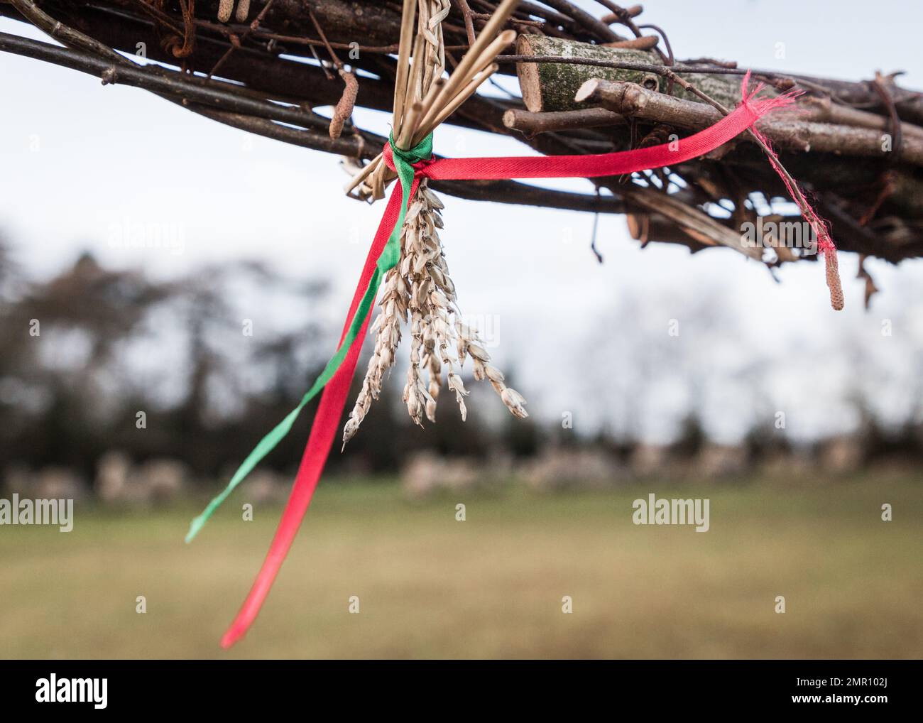 Ears of corn tied with colorful ribbons and hanging from wicker representations of dancing fairies at The Rollright Stones circle in Oxfordshire Stock Photo