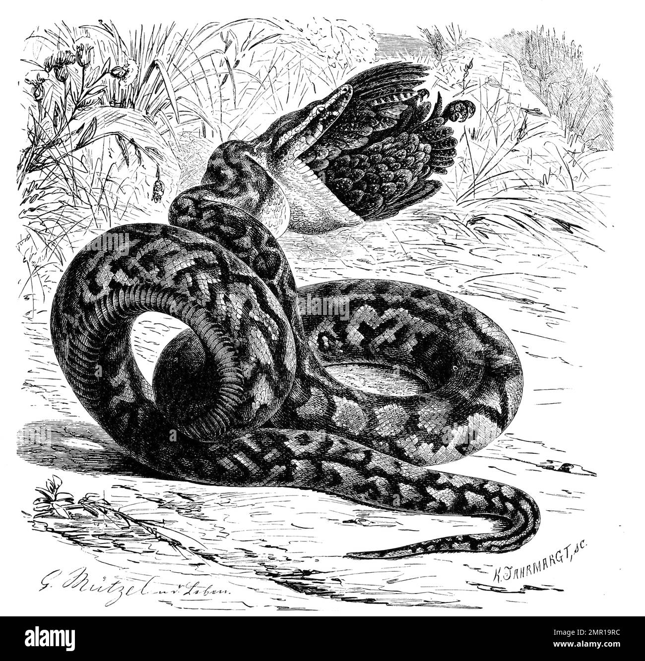 My Image 26