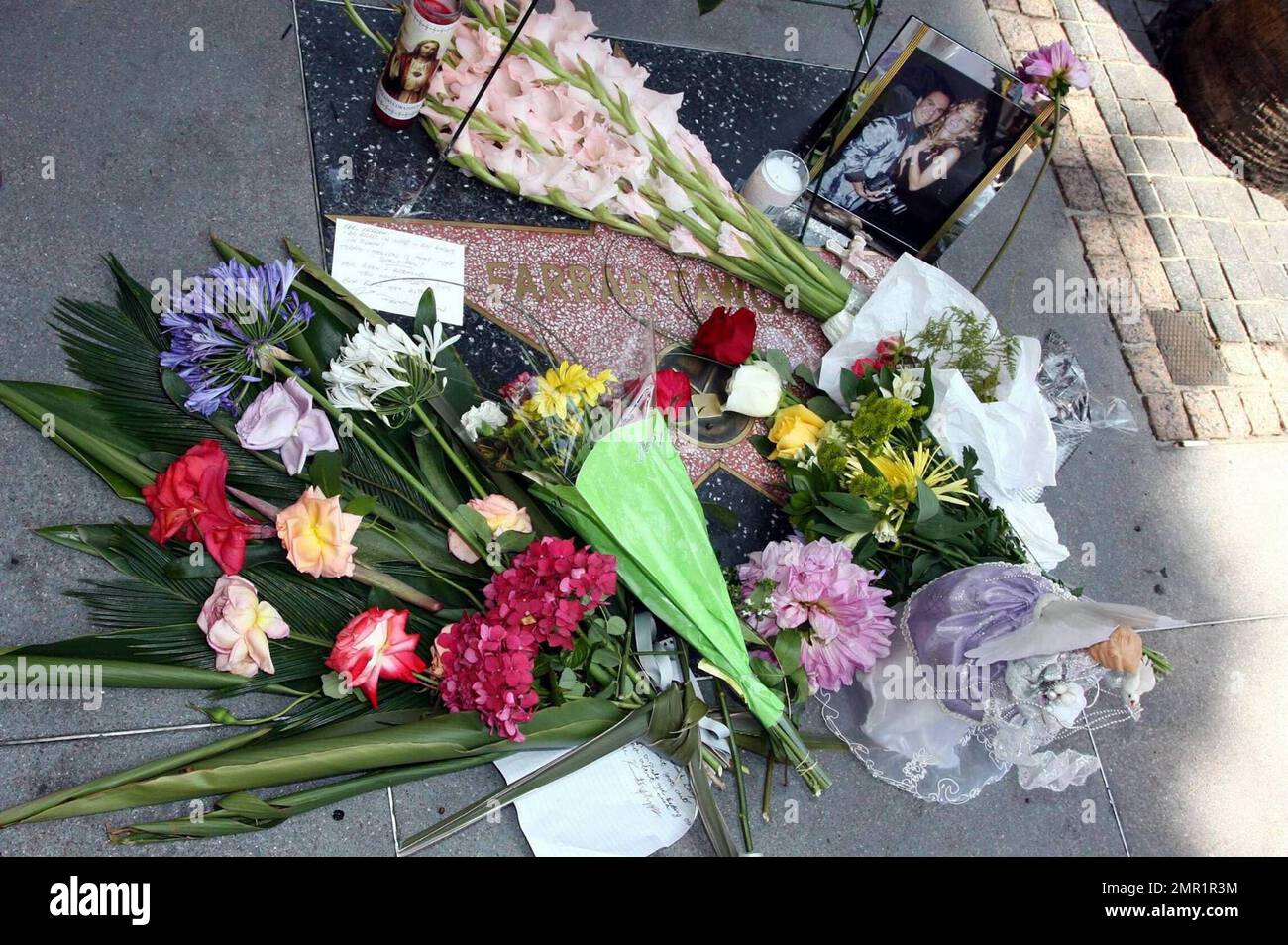 Fans pay tribute to Farrah Fawcett at her star on Hollywood Boulevard