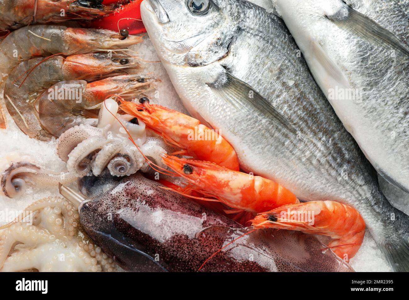 Fresh fish and seafood on ice, closeup Stock Photo Alamy
