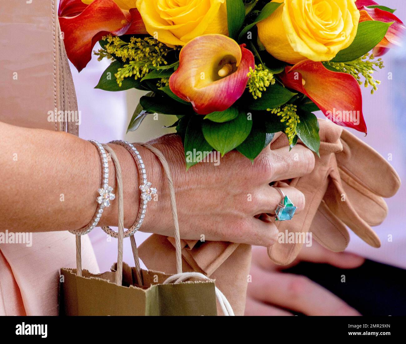 echeveria agave Echeveria agavoides 4