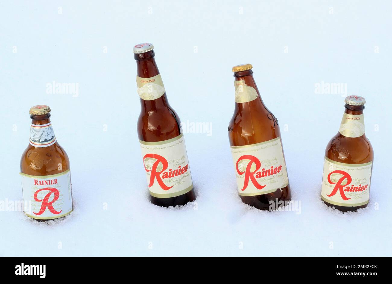 Four old Rainier beer bottles chilled in the snow. Stock Photo