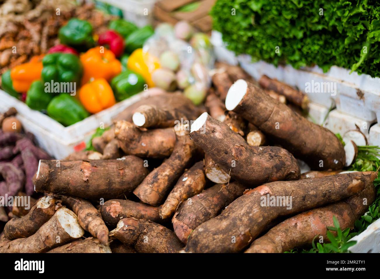 Fresh cassava root stall on local market in Puebla. Traditional mexican fresh vegetable Stock