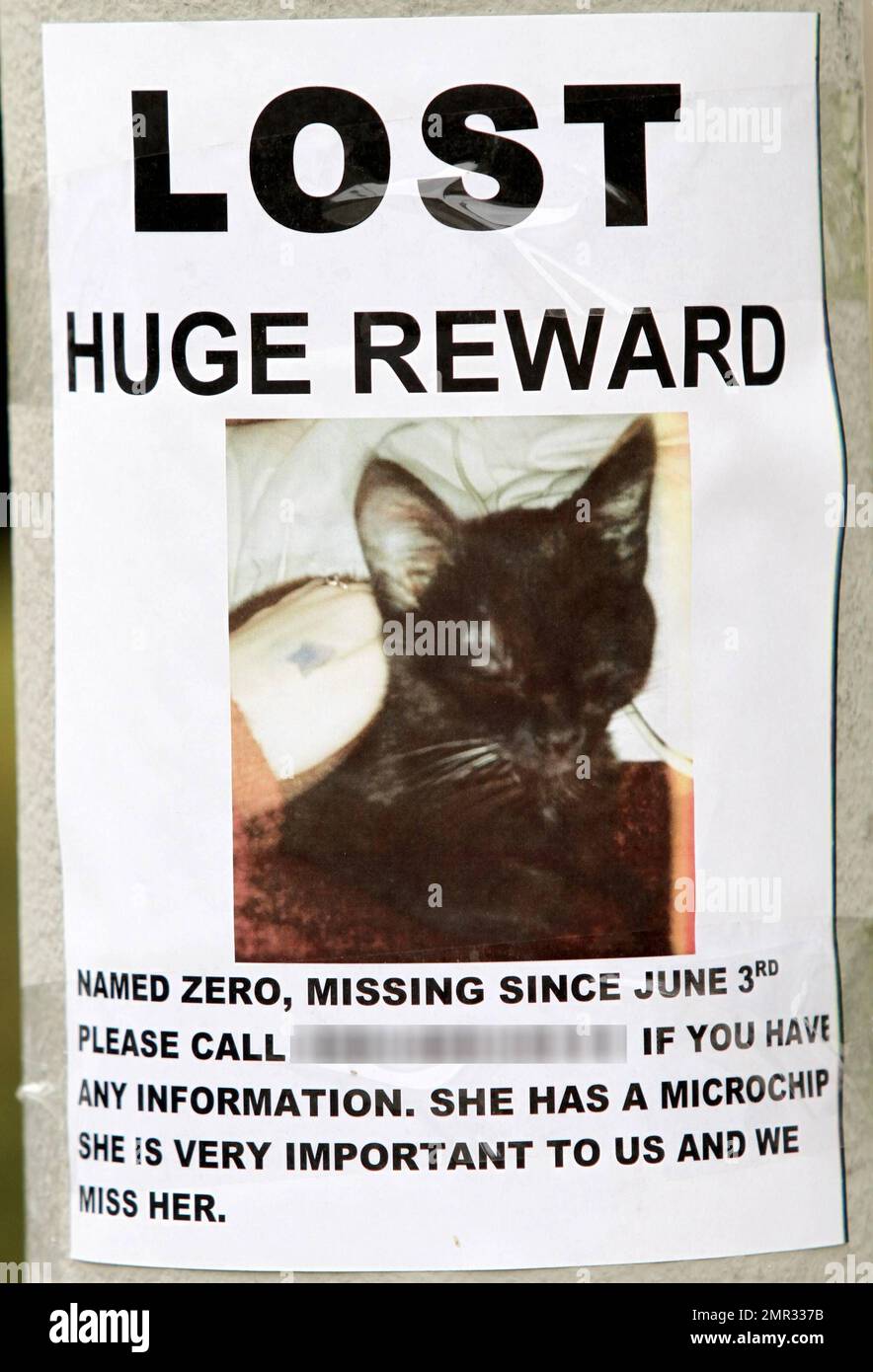 According to reports, Frances Bean Cobain, daughter of late music legend Kurt Cobain and singer Courtney Love, has been left devastated after her little black cat named Zero ran away. Frances and her fiance Isaiah Silv were spotted in her West Hollywood neighborhood posting missing flyers. These are GVs of the posters that the couple posted in hopes to find their cat Zero along with GVs of Frances home. Cobain is so eager to find her little cat that she is offering a hefty reward of $5000. 19 year old Frances is quite attached to her beloved Zero for she has raised her since she was 4 months o Stock Photo