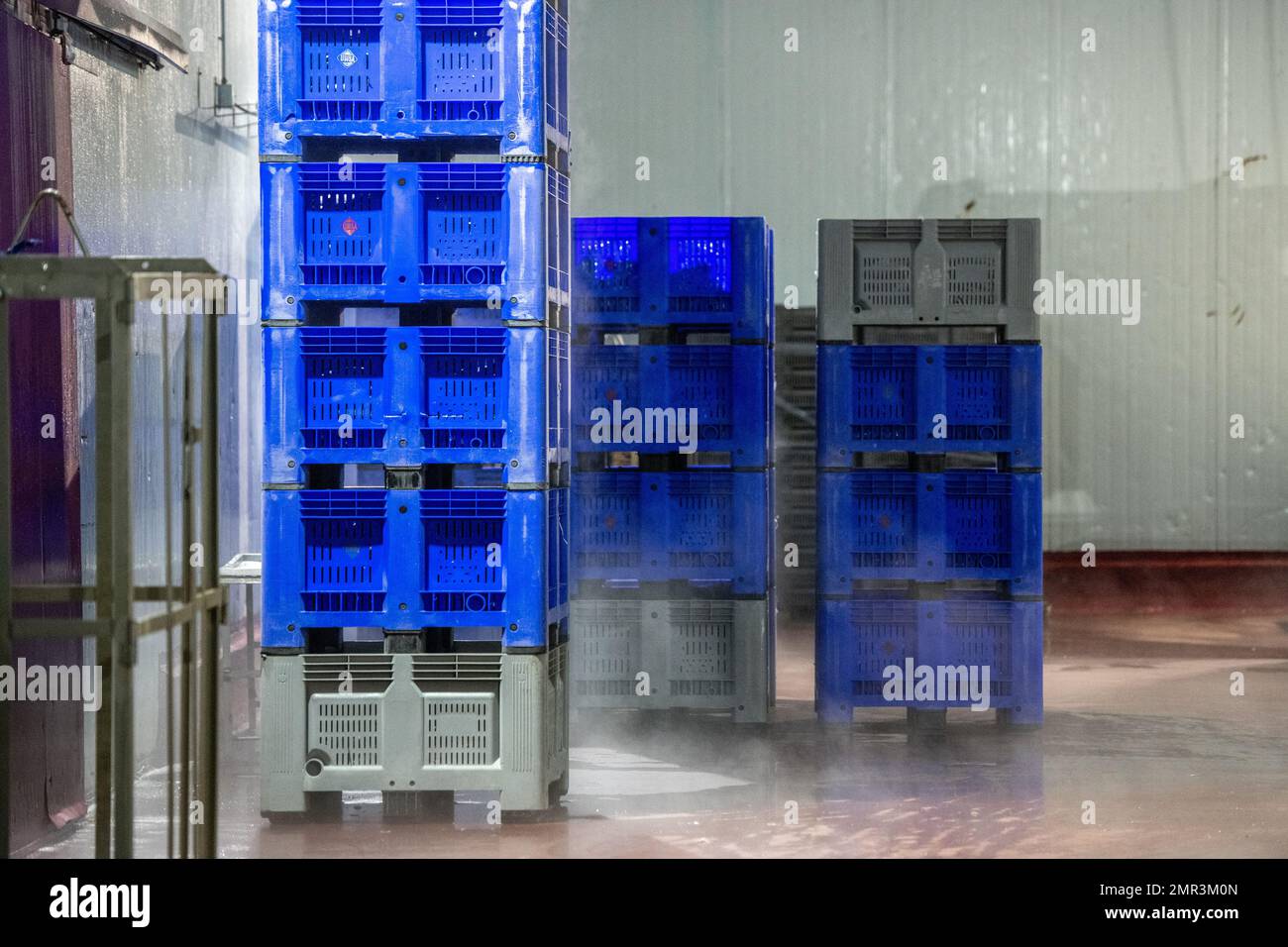 Fish canning factory (USISA), Isla Cristina, Spain Stock Photo Alamy