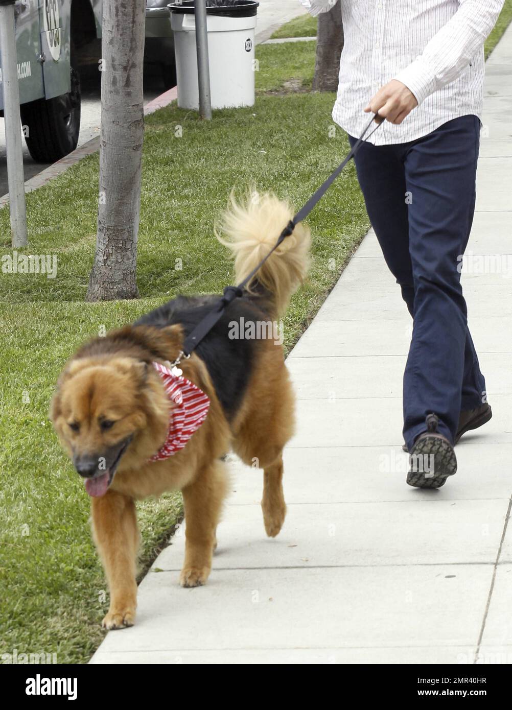 EXCLUSIVE Chelsea Handler s dog Chunk gets taken for a walk by an assistant who later chats with Chelsea s personal assistant Chuy outside the Chelsea Lately studios. Los Angeles CA. 21st September 20...