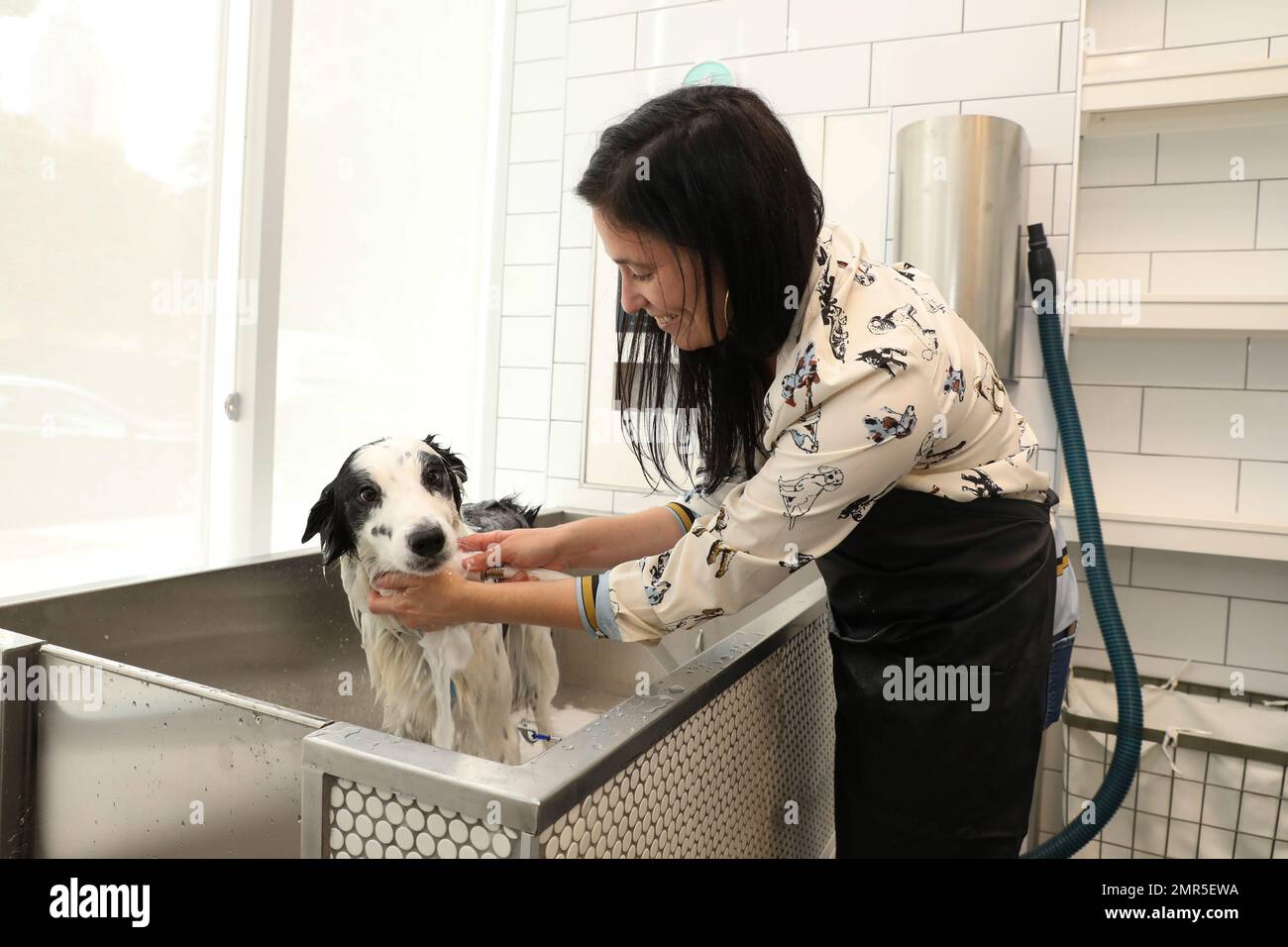 The Groomery by PetSmart™ in Manhattan's Upper West Side on Tuesday