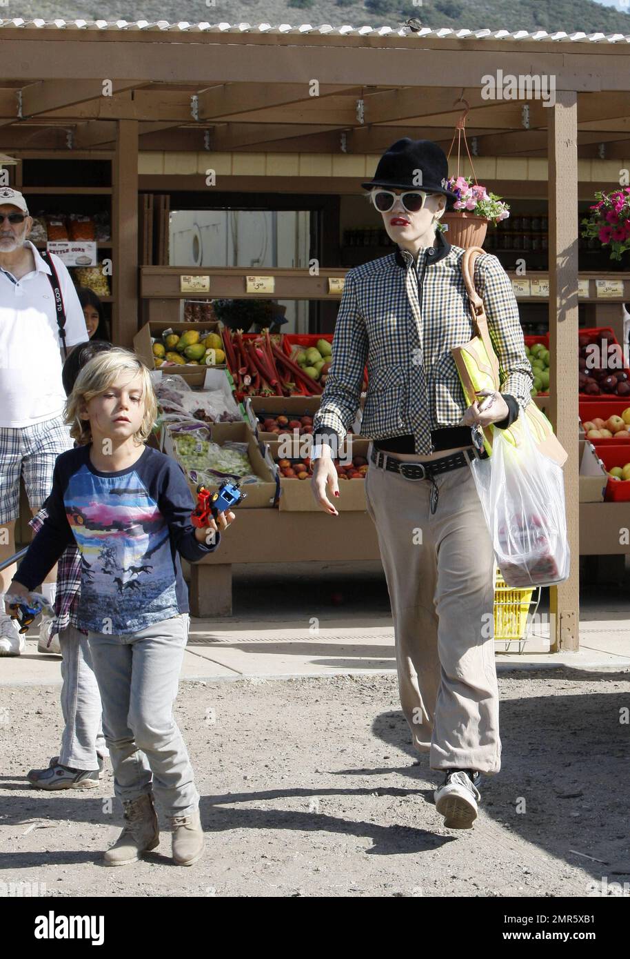 'No Doubt' singer and fashion designer Gwen Stefani takes her sons, 6 year old Kingston and 4 year old Zuma for a family day out at Underwood Family Farms in L.A. 42 year old Gwen wore a tan plaid jacket with baggy tan pants and topped off with a black hat, black sneakers and sunglasses as she is seen carrying three boxes of strawberries she purchased at the farm. Kingston is seen enjoying a pony ride and riding a giant tricycle. Los Angeles, CA. 26th May 2012. Stock Photo