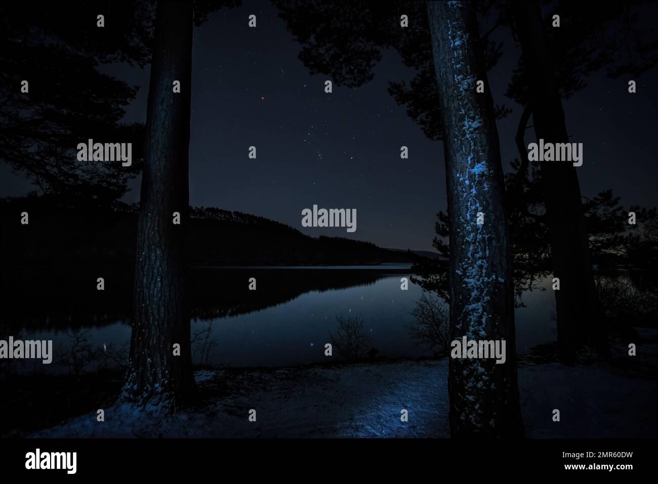 Orion through the trees at Tunstall Reservoir with a reflection in the water. Stock Photo
