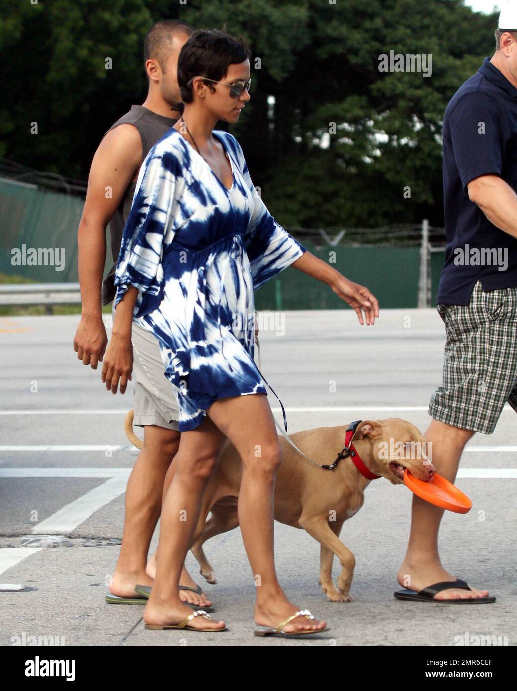 EXCLUSIVE!! Recently single, Academy Awardwinning actress, Halle Berry