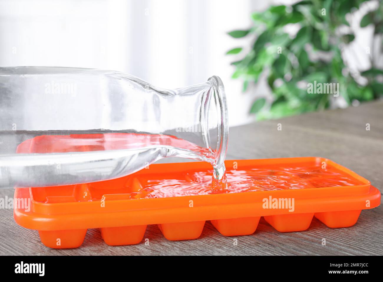 https://c8.alamy.com/comp/2MR7JCC/pouring-water-into-ice-cube-tray-on-wooden-table-closeup-2MR7JCC.jpg