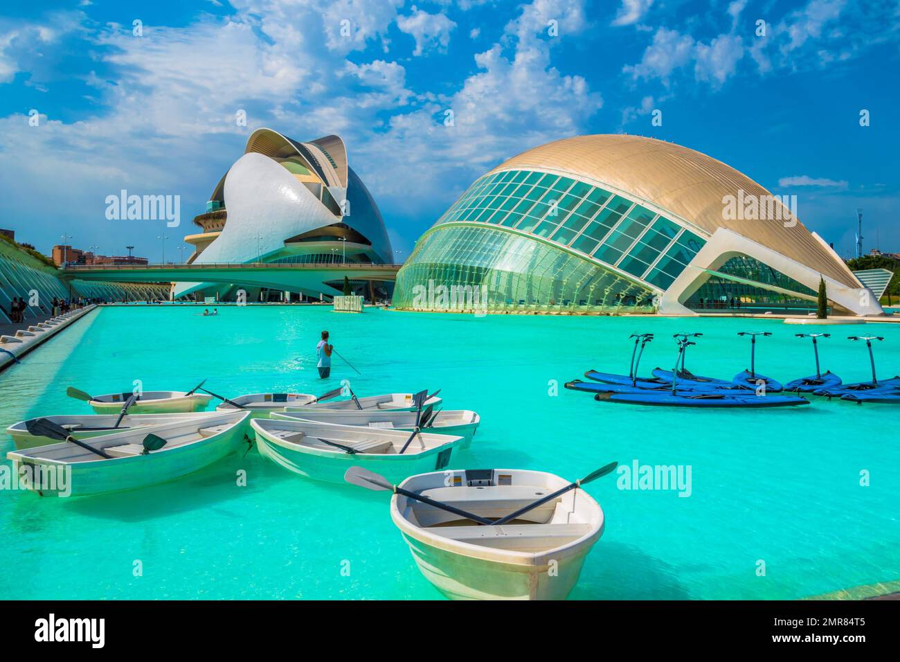 A landscape shot of the Queen Sofia Palace of the Arts opera house in Valencia, Spain Stock